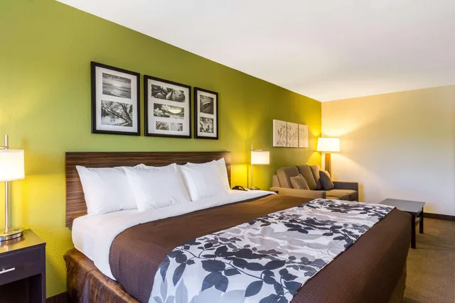 Suite, King Bed, Accessible, Sleep Inn & Suites Jourdanton - Pleasanton 2/3