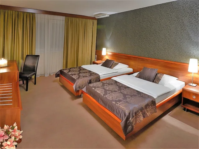 غرفة بزنس بسرير مزدوج أو سريرين منفصلين، Hotel Centrum 1/7