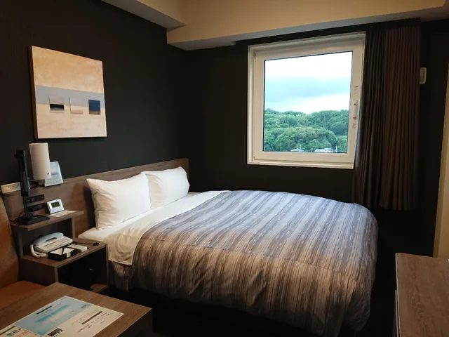 غرفة قياسية بسرير مزدوج، Hotel Route Inn Kisarazu 2/2