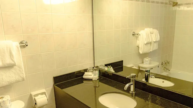جناح بغرفة نوم واحدة، Century Plaza Hotel & Spa 8/9