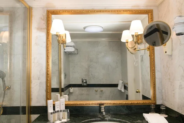 جناح بغرفة نوم واحدة، Grand Hotel Bucharest 2/4