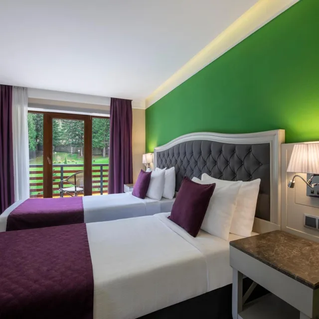جناح ديلوكس، Sairme Hotels & Resorts 1/4