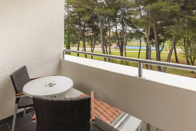 Premium, Double Bed, Sea Side, Balcony، Hotel Pelegrin Plava Laguna 6/6
