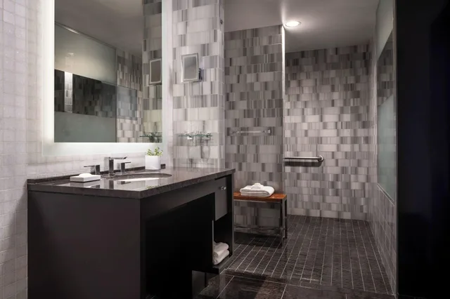 غرفة ديلوكس بسرير مزدوج بإطلالة على المدينة، THE RITZ-CARLTON LOS ANGELES 5/5