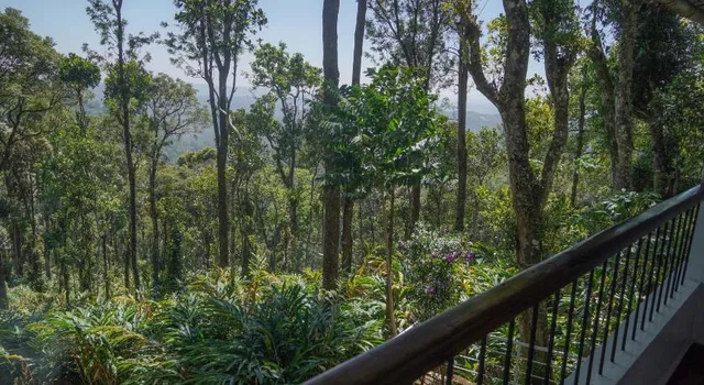 BLUE BELLS VALLEY RESORT، مونار 49/55