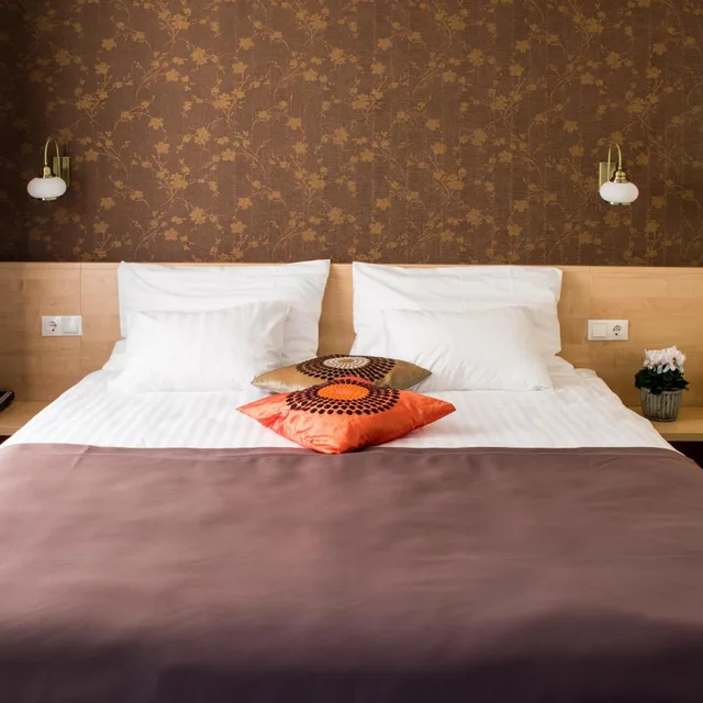 غرفة كومفورت بسرير مزدوج، Sigulda Hotel 8/10