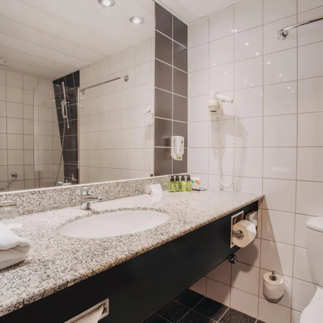 غرفة عائلية بسرير فردي، Don Giovanni Hotel Prague 3/3