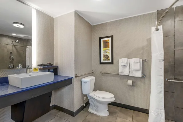 غرفة قياسية بسرير كينج لذوي الإعاقة، GLo Best Western Pooler Savannah Airport Hotel 3/3