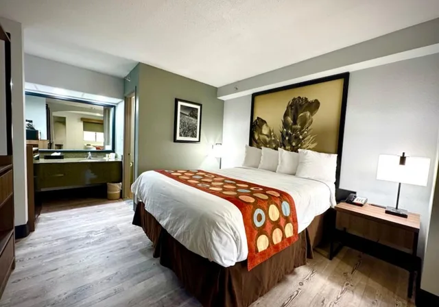 غرفة قياسية بسرير كينج مع أريكة، SureStay Plus by Best Western Cannon A.F.B. 1/7