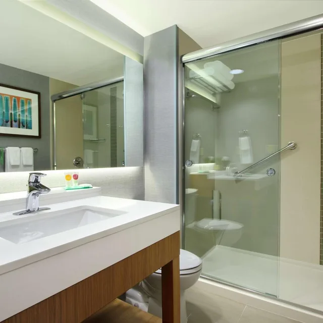 جناح بسرير كينج لذوي الإعاقة، HYATT PLACE HOUSTON NW VINTAGE PARK 2/2