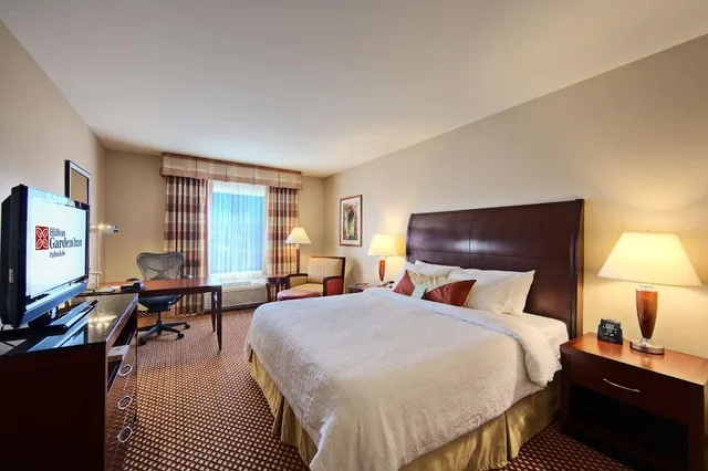 Evolution, King Bed, Hilton Garden Inn Palmdale 4/10