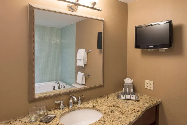 جناح جونيور، Doubletree By Hilton Hotel Grand Rapids Airport 2/4