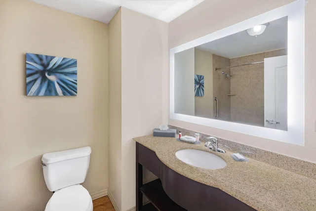 جناح استوديو ديلوكس بسرير كينج، La Quinta Inn & Suites by Wyndham Garland Harbor Point 3/3