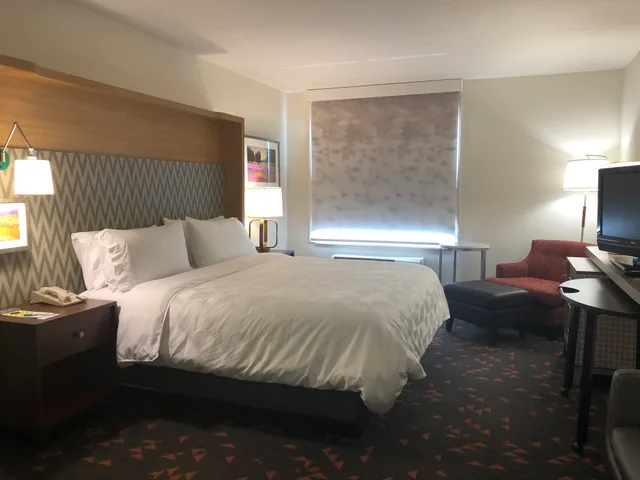 Leisure, King Bed، Holiday Inn Statesboro-University Area 1/2