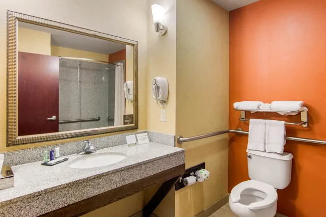 Standard, King Bed, Accessible, Sleep Inn & Suites Athens South 2/2