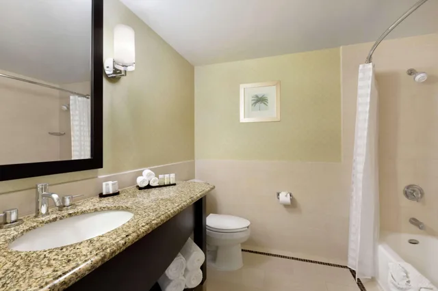 2 Rooms, Custom, Suite, King Bed، Embassy Suites by Hilton Los Angeles Glendale 3/4
