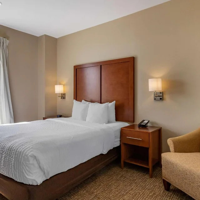 جناح بسرير كوين مع أريكة، Comfort Suites Houston near Medical Center- NRG Stadium 2/4