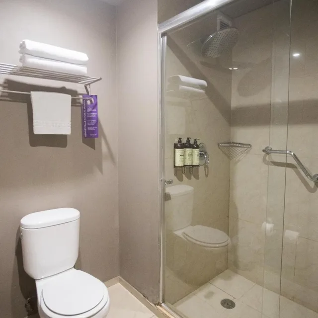 غرفة سوبيريور بسرير كينج، Mercure Santiago Centro 8/10