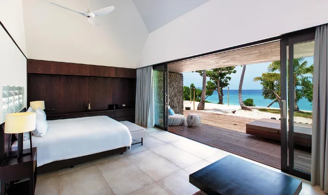 Palm، Vomo Island Resort 1/1