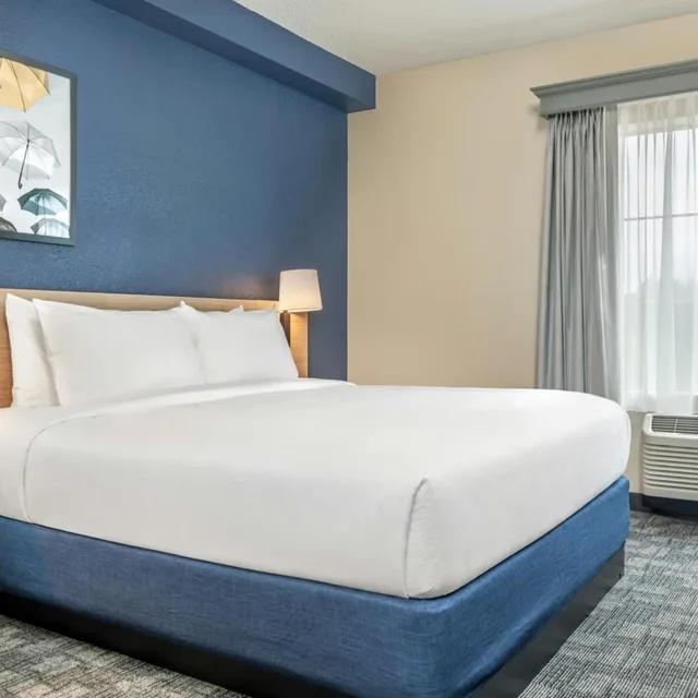 Room, King Bed, Partial View, Sofa، Comfort Suites Elkridge Columbia Gateway 1/8