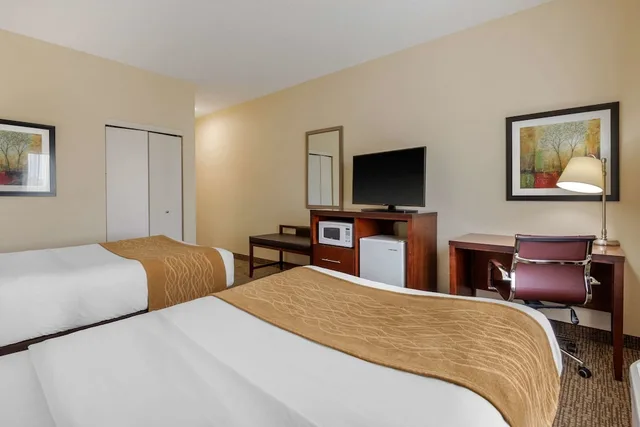 غرفة قياسية بسريرين مزدوجين، Comfort Inn & Suites Camden, SC 6/8