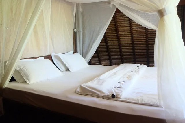 2 Bedrooms, Villa, 2 Double Beds, Shared Bathroom, with Fan، Villa Boreh Beach Resort And Spa 1/2