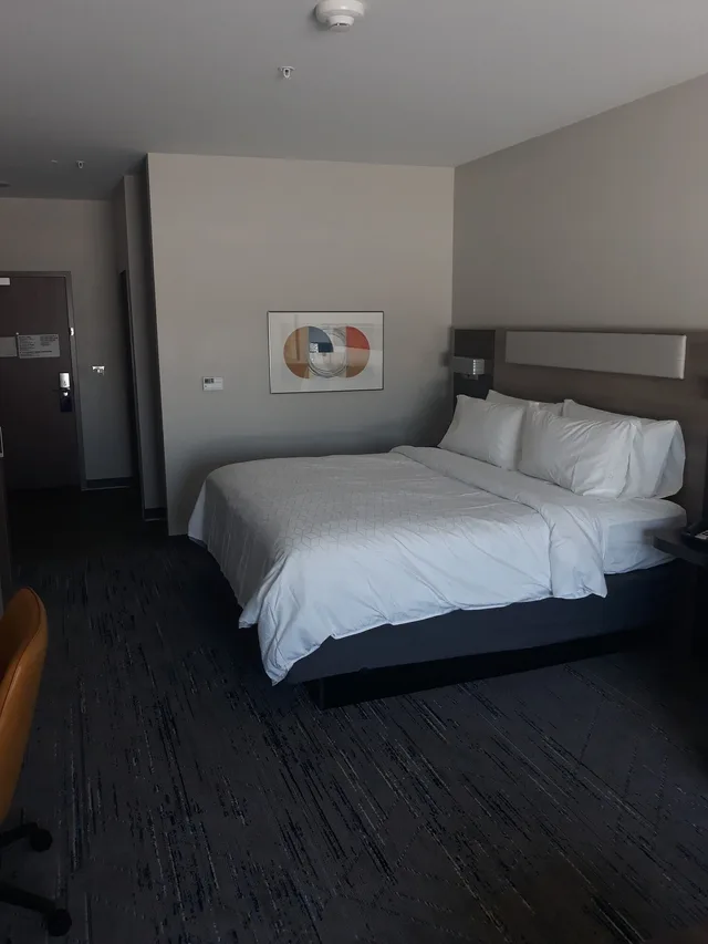 غرفة قياسية بسرير كينج لذوي الإعاقة، Holiday Inn Express and Suites Jackson 1/4
