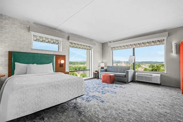 استوديو بسرير كينج مع أريكة لذوي الإعاقة، HOME2 SUITES BY HILTON PIGEON FORGE 2/2
