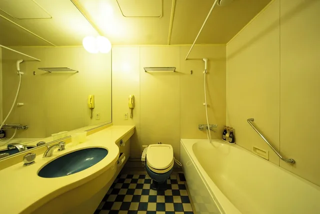 Moderate, Double Bed، Hotel Clio Court Hakata 7/8