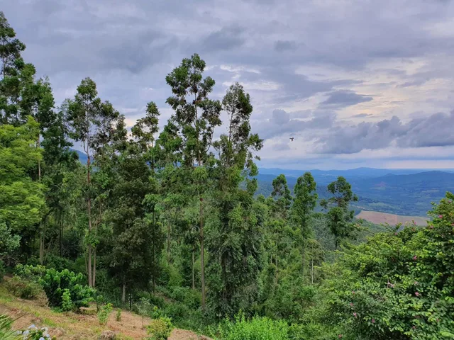Lind End Guest Farm، Tzaneen 16/29