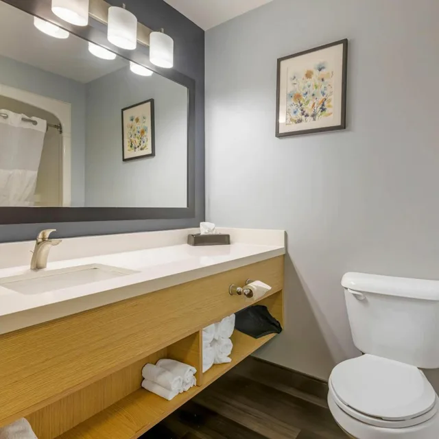 غرفة بسرير كينج لذوي الإعاقة، Quality Inn & Suites Oakville 7/8
