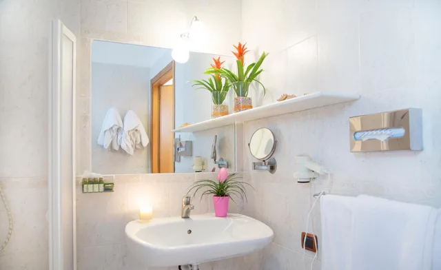 غرفة قياسية بسرير مزدوج أو سريرين منفصلين بشرفة، Garden Hotel Ripa 7/9