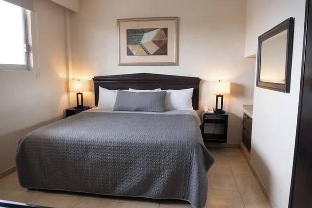 غرفة قياسية بسرير كينج، Hotel America Centro 2/10