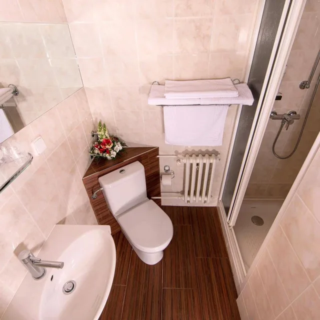 غرفة ثلاثية بسرير فردي، Park Hotel Pruhonice 4/4