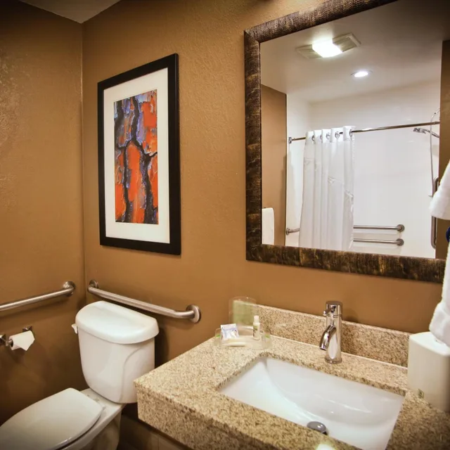 غرفة بسرير كينج لذوي الإعاقة، Pearl Street Hotel & Suites - Downtown 8/8