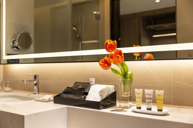 غرفة تنفيذية، Carlton Hotel Bangkok Sukhumvit 6/6