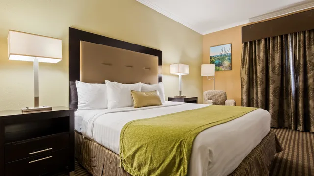 Standard, King Bed, Royal Sun Inn & Suites 3/9