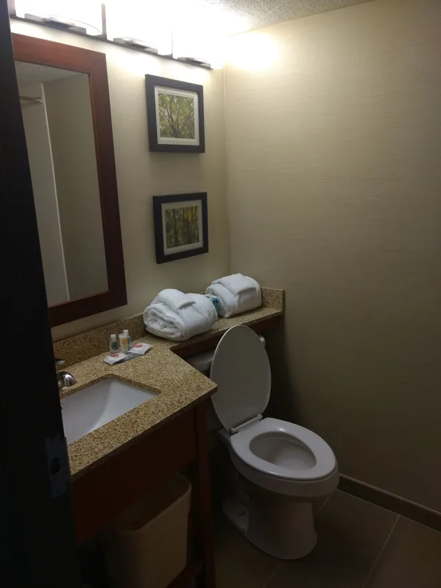 غرفة قياسية بسريرين مزدوجين، Comfort Inn and Suites Near Danville Mall 8/8