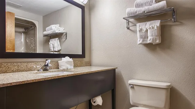 غرفة بسرير كينج لذوي الإعاقة، Best Western Executive Inn & Suites 6/6