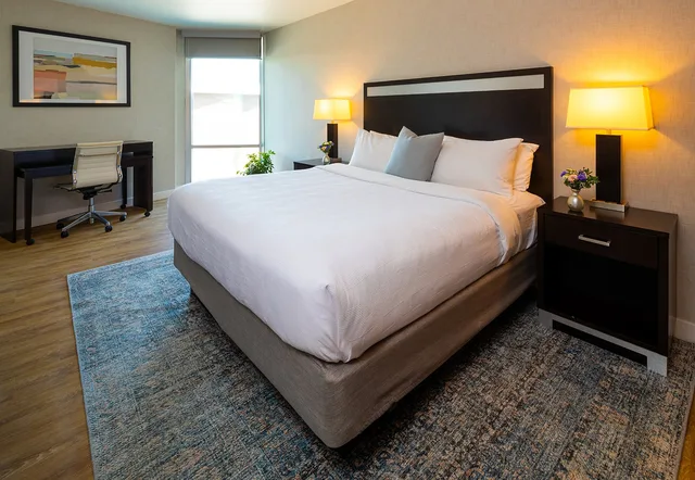 Standard, King Bed, Delamar Traverse City 1/1