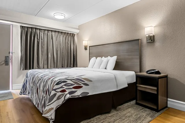 غرفة قياسية بسرير كينج لذوي الإعاقة، Red Roof Inn Tampa Fairgrounds - Casino 3/4