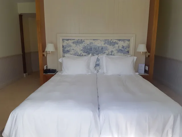 غرفة سوبيريور بسريرين منفصلين بشرفة، Hotel Regina Wengen 2/2