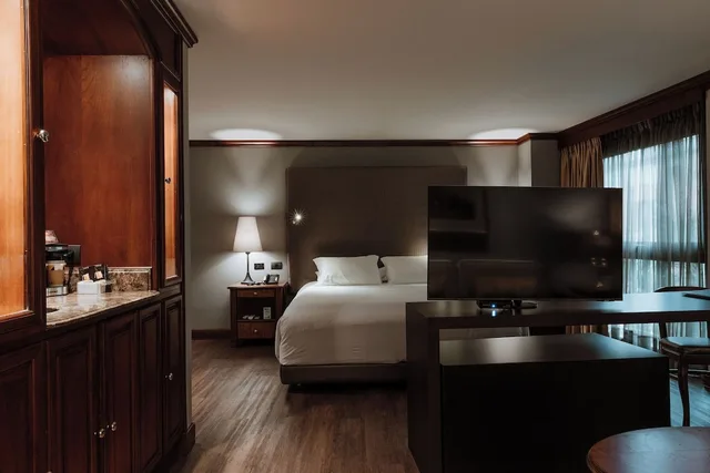 جناح جونيور بسرير كينج، Hotel Park 10 6/10