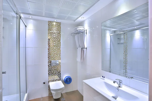 غرفة بسرير مزدوج، Grand Madrid Hotel 3/3