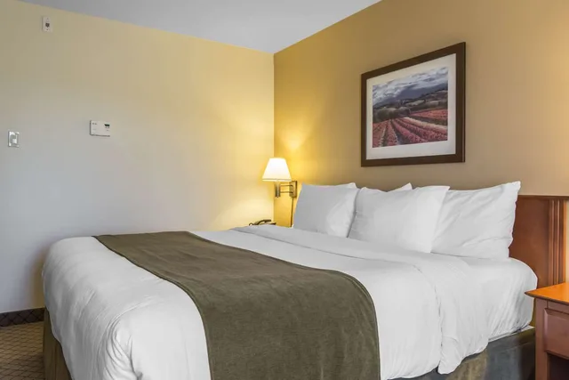 غرفة بسرير كينج، Quality Inn Airport Dieppe 1/6