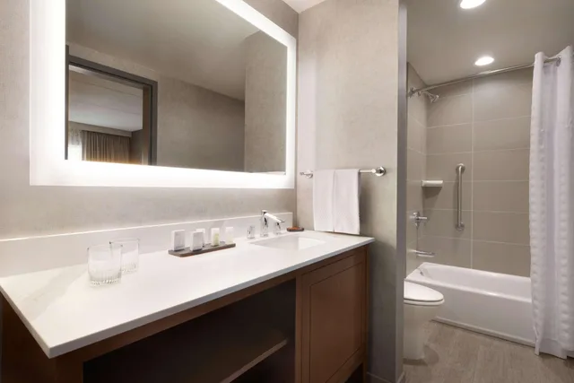 جناح بسرير كوين لذوي الإعاقة، Embassy Suites By Hilton Chicago-Naperville 3/3