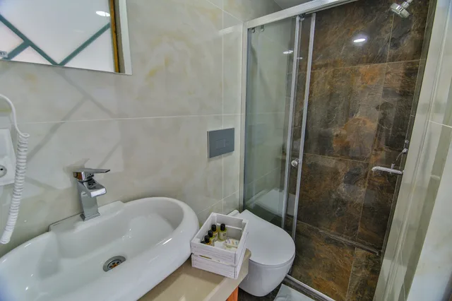 غرفة قياسية ثلاثية بسرير مزدوج وسرير فردي بإطلالة على المدينة، Frau Guler Boutique Hotel 5/5