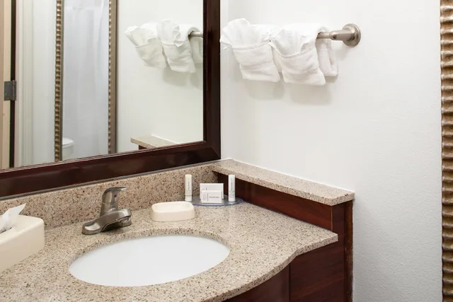 Studio, King Bed, Sofa, SpringHill Suites by Marriott Ardmore 2/4