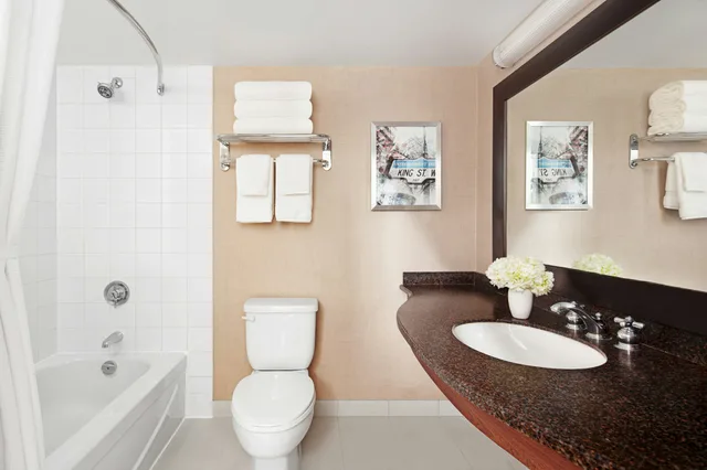 غرفة تنفيذية بسرير كوين، Chelsea Hotel Toronto 2/2