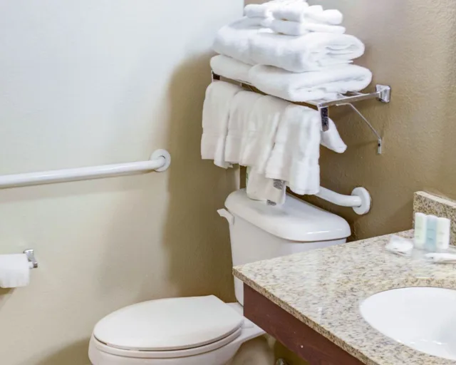 Suite, Accessible, Comfort Suites Omaha Northwest 8/8
